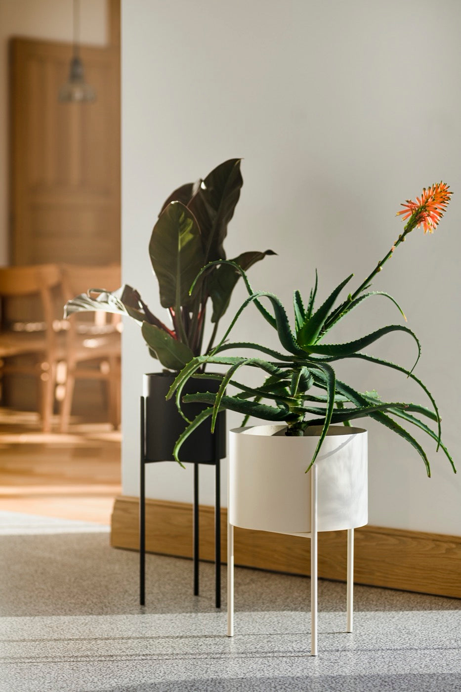 black indoor living-room plant-pots spring-ideas beige hallway 