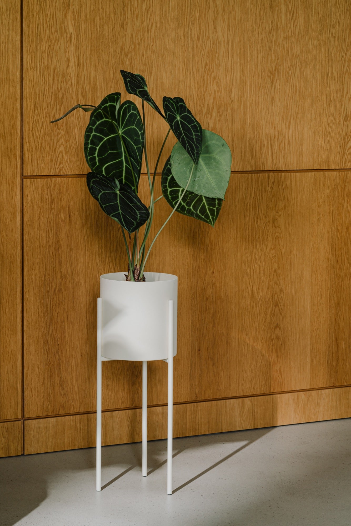 beige gift-guide indoor living-room plant-pots hallway 