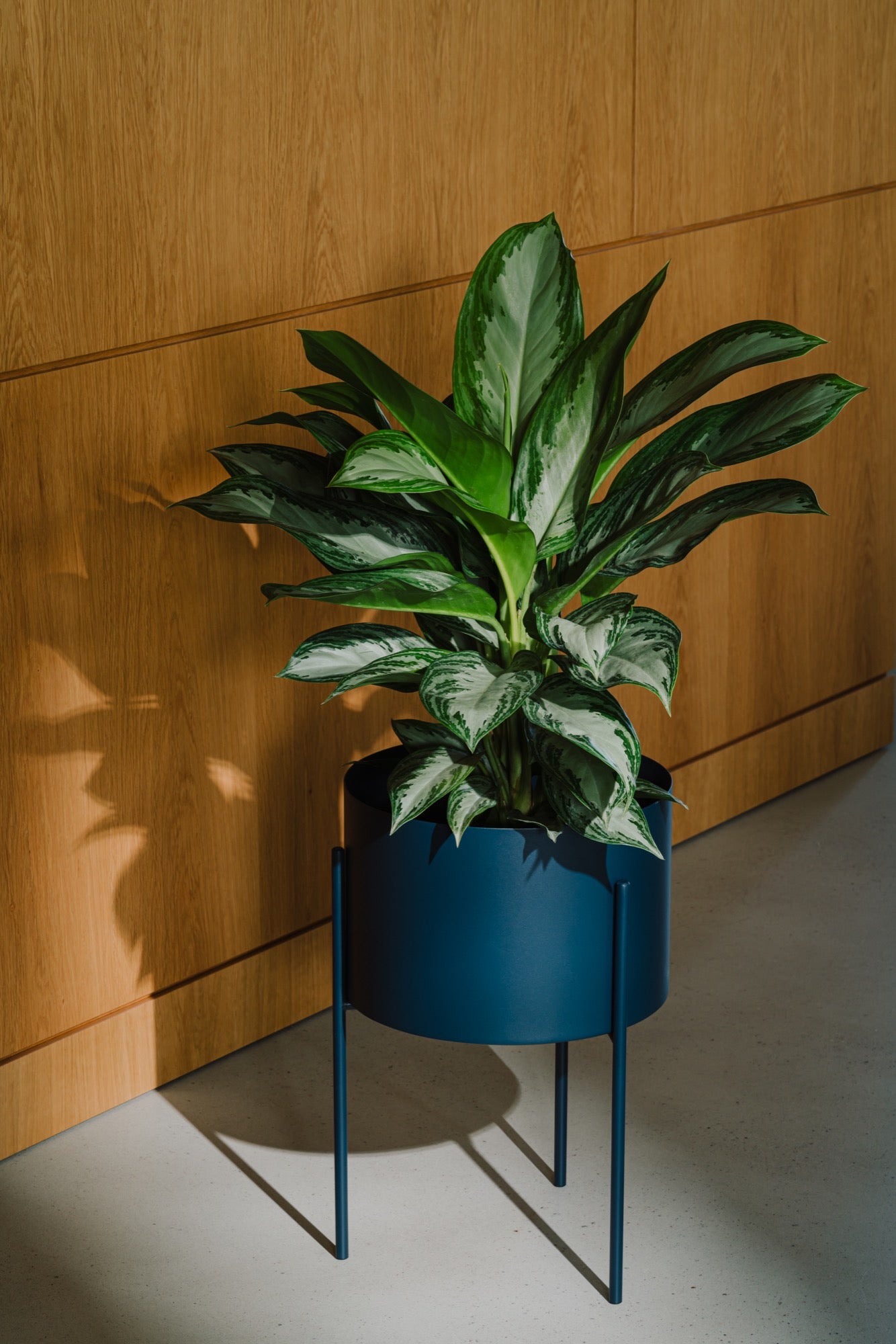 blue indoor living-room plant-pots spring-ideas hallway 