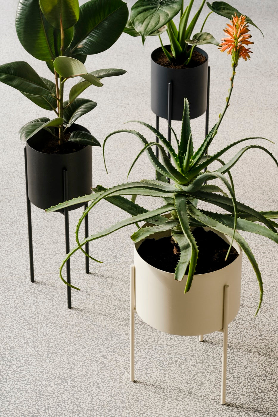 beige hallway outdoor plant-pots spring-ideas bedroom black blue gift-guide home-office indoor living-room 